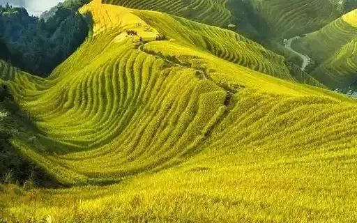 dd143a1c8162ad32d8b139410a9a402c_ABUIABACGAAg4ZnBlQYozaDy3QMwgAQ4wAI.jpg