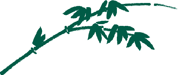 7.png
