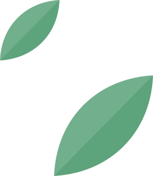 11.png